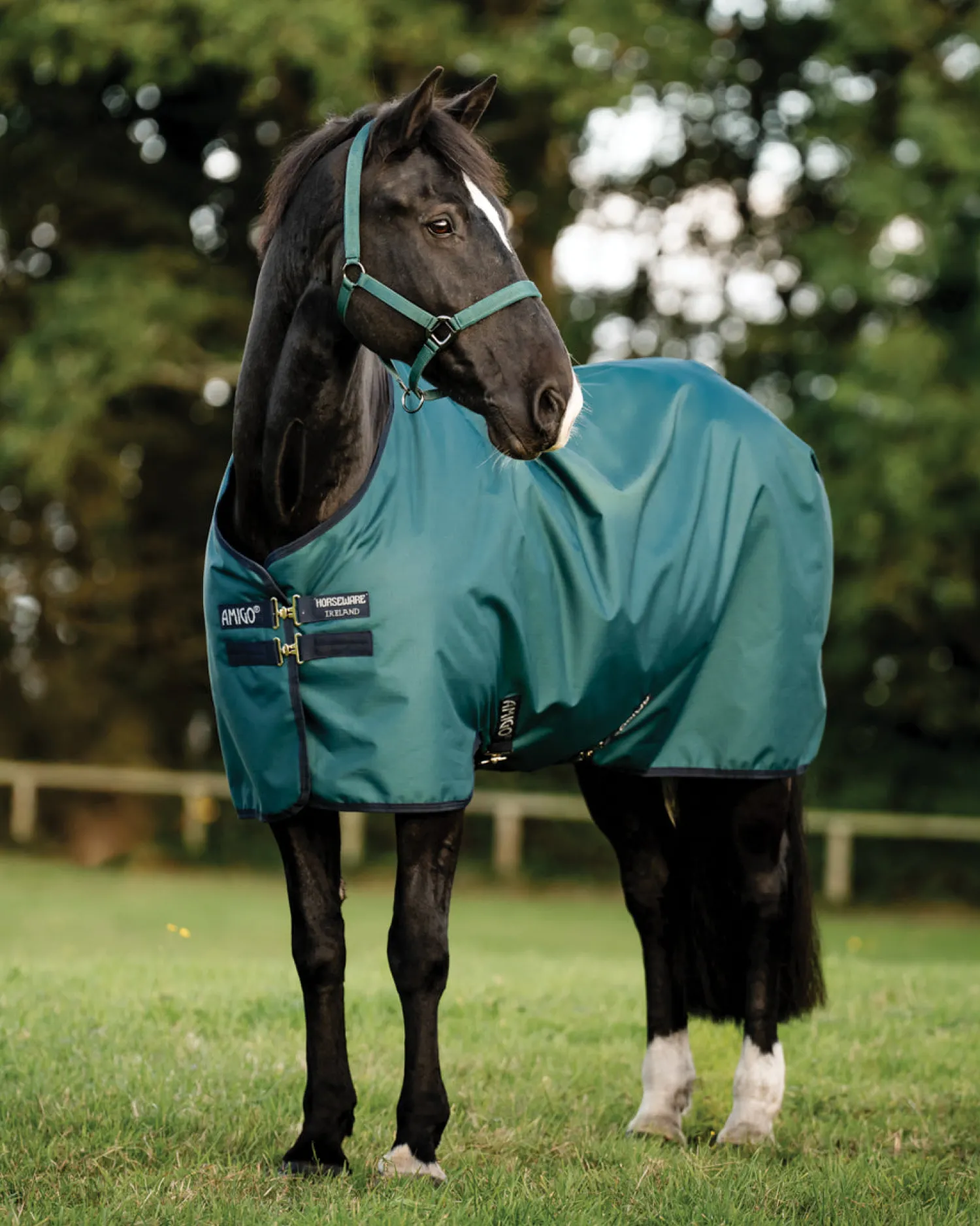HORSEWARE ® Ireland Amigo® Ripstop 900D 50 Gram Fleece Lined Standard Neck Turnout