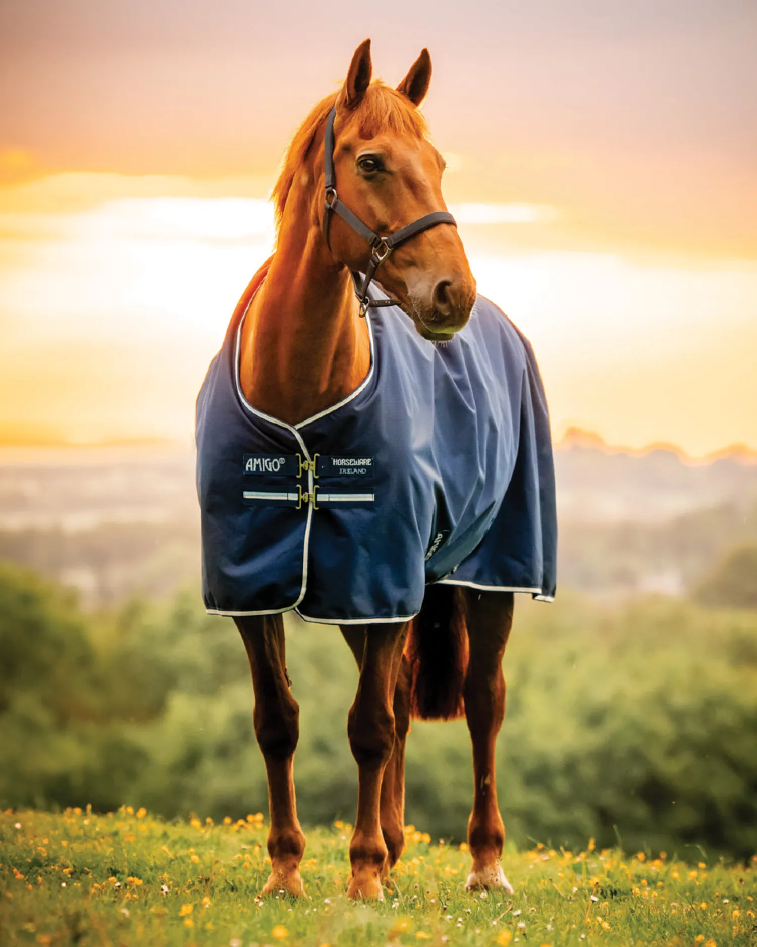 HORSEWARE ® Ireland Amigo® Ripstop 900D 50 Gram Fleece Lined Standard Neck Turnout