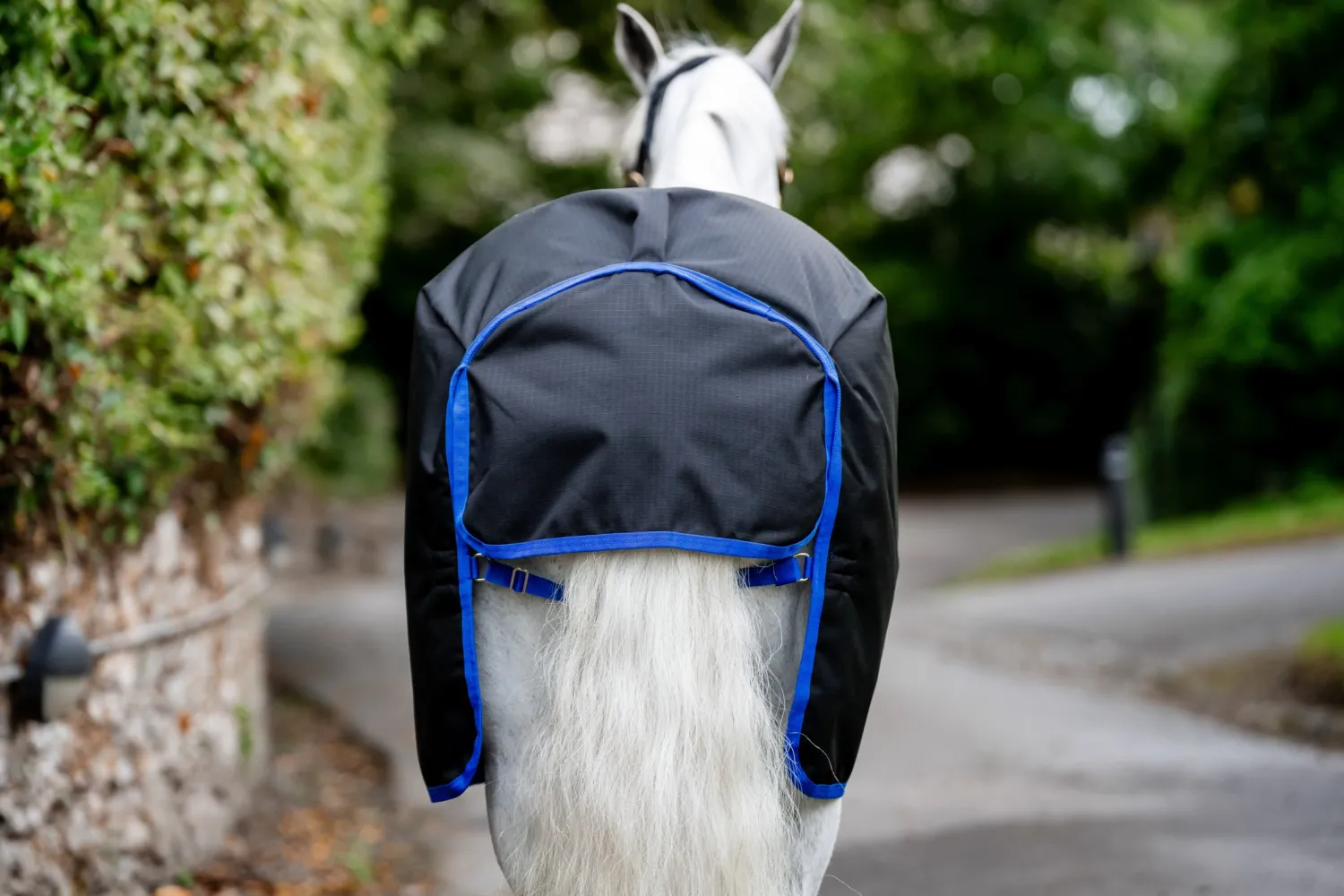 HORSEWARE ® Ireland Amigo® Ripstop 900D 200 Grams Plus Pony Turnout Black/Classic Blue New