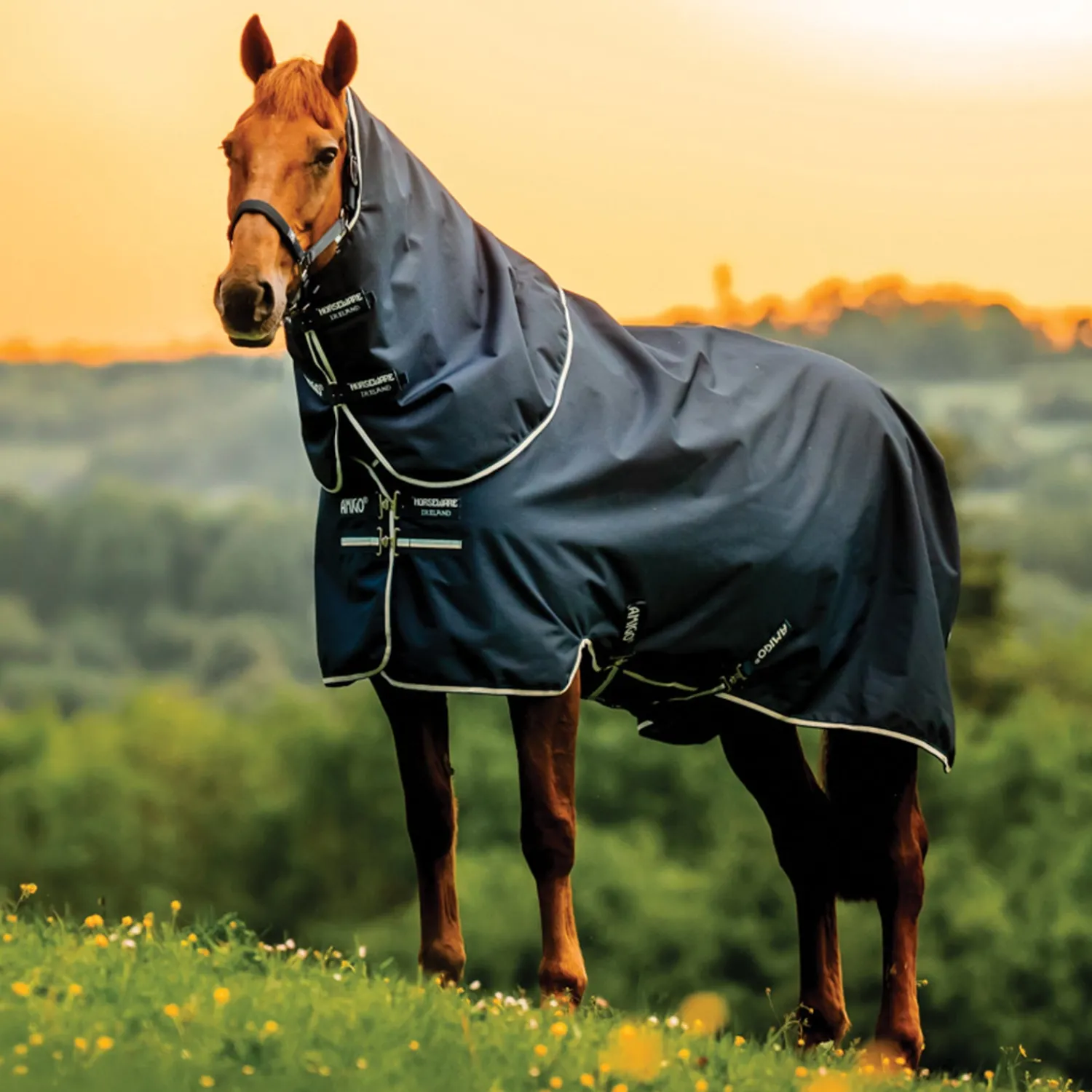 HORSEWARE ® Ireland Amigo® Ripstop 900D Plus Turnout Sheet Best