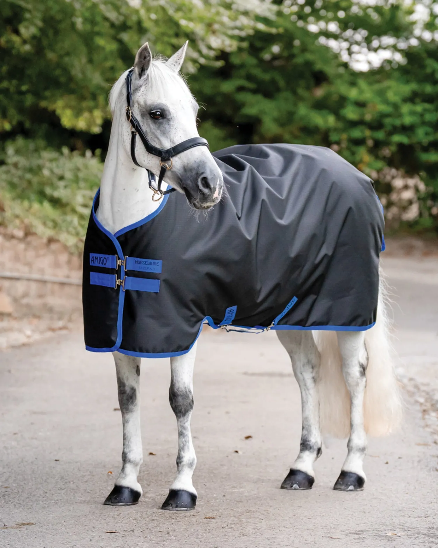 HORSEWARE ® Ireland Amigo® Ripstop 900D 200 Gram Standard Neck Pony Turnout Black/Classic Blue Online