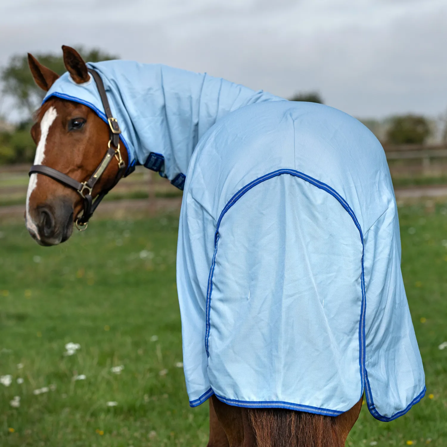 HORSEWARE ® Ireland Amigo® Ripstop Hoody Blanket Azure/Strong Blue/Silver Best