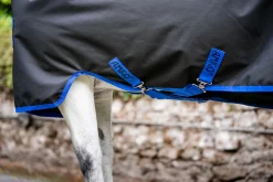 HORSEWARE ® Ireland Amigo® Ripstop 900D Standard Neck Pony Turnout Sheet Black/Classic Blue