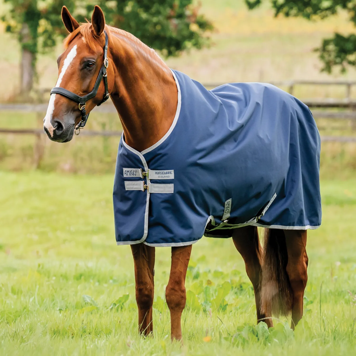 HORSEWARE ® Ireland Amigo® Ripstop 900D 100 Gram Standard Neck Turnout Discount
