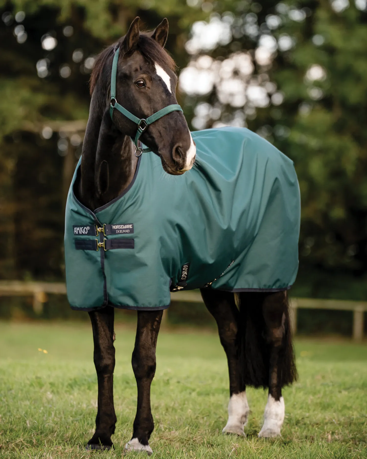 HORSEWARE ® Ireland Amigo® Ripstop 900D 200 Gram Standard Neck Turnout–Seasonal Color Online