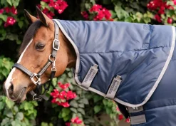 HORSEWARE ® Ireland Amigo® Ripstop Insulator Stable Pony Plus Blanket - 200G Navy/Titanium Grey Sale