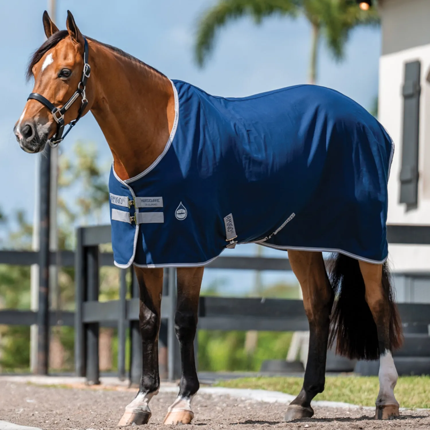HORSEWARE ® Ireland Amigo® Stable Sheet–Core Color Navy/Titanium Grey/Silver Online