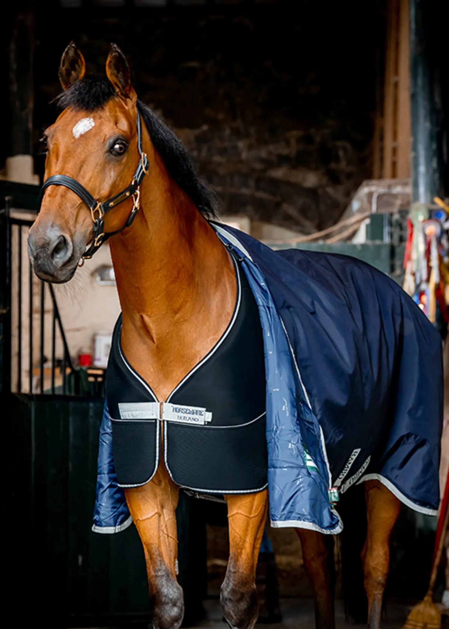HORSEWARE ® Ireland Dry Liner Navy/Silver Sale
