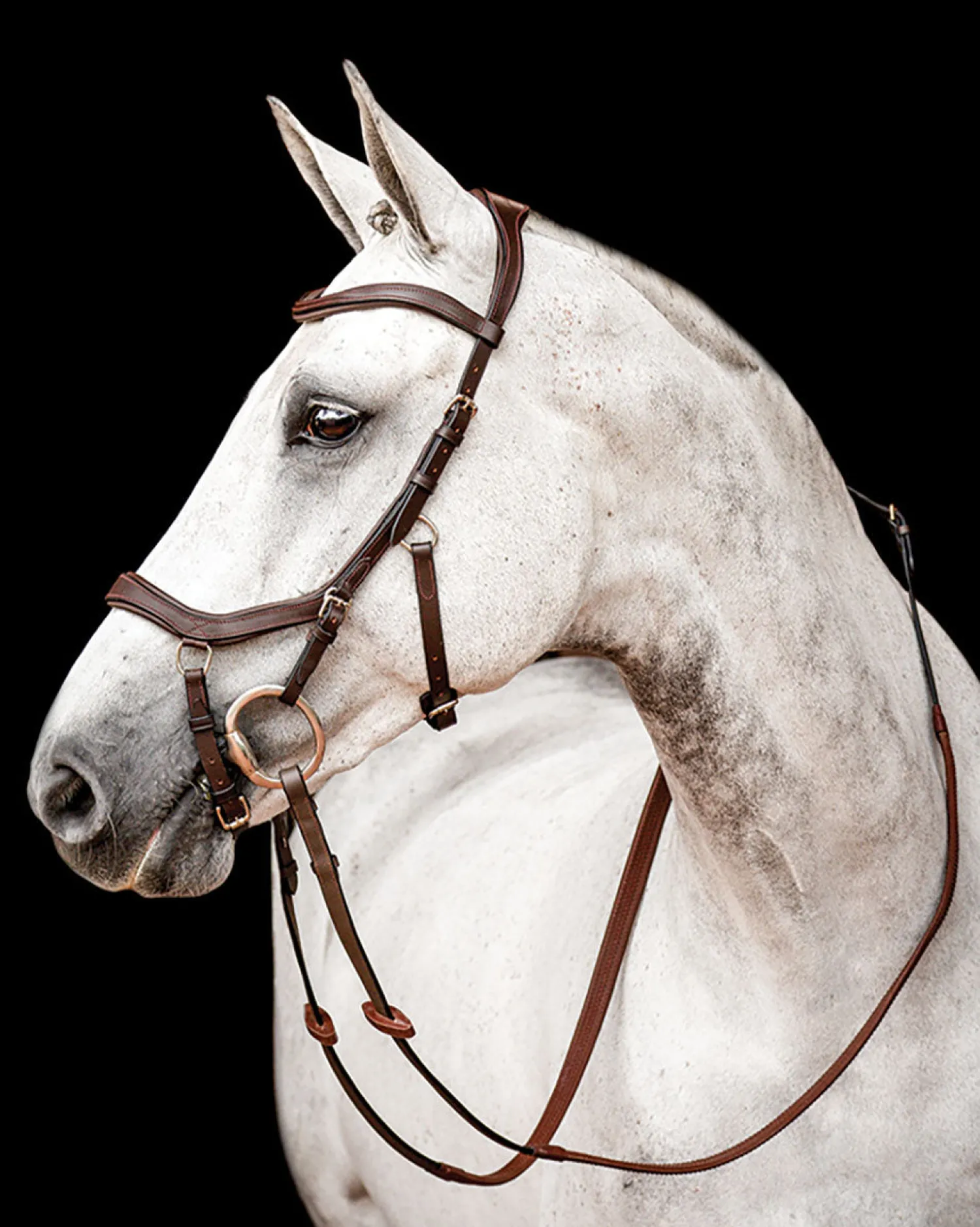 HORSEWARE ® Ireland Micklem2 Competition Bridle with Reins Outlet