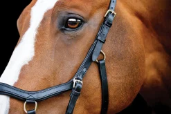 HORSEWARE ® Ireland Micklem2 Competition Bridle with Reins Outlet