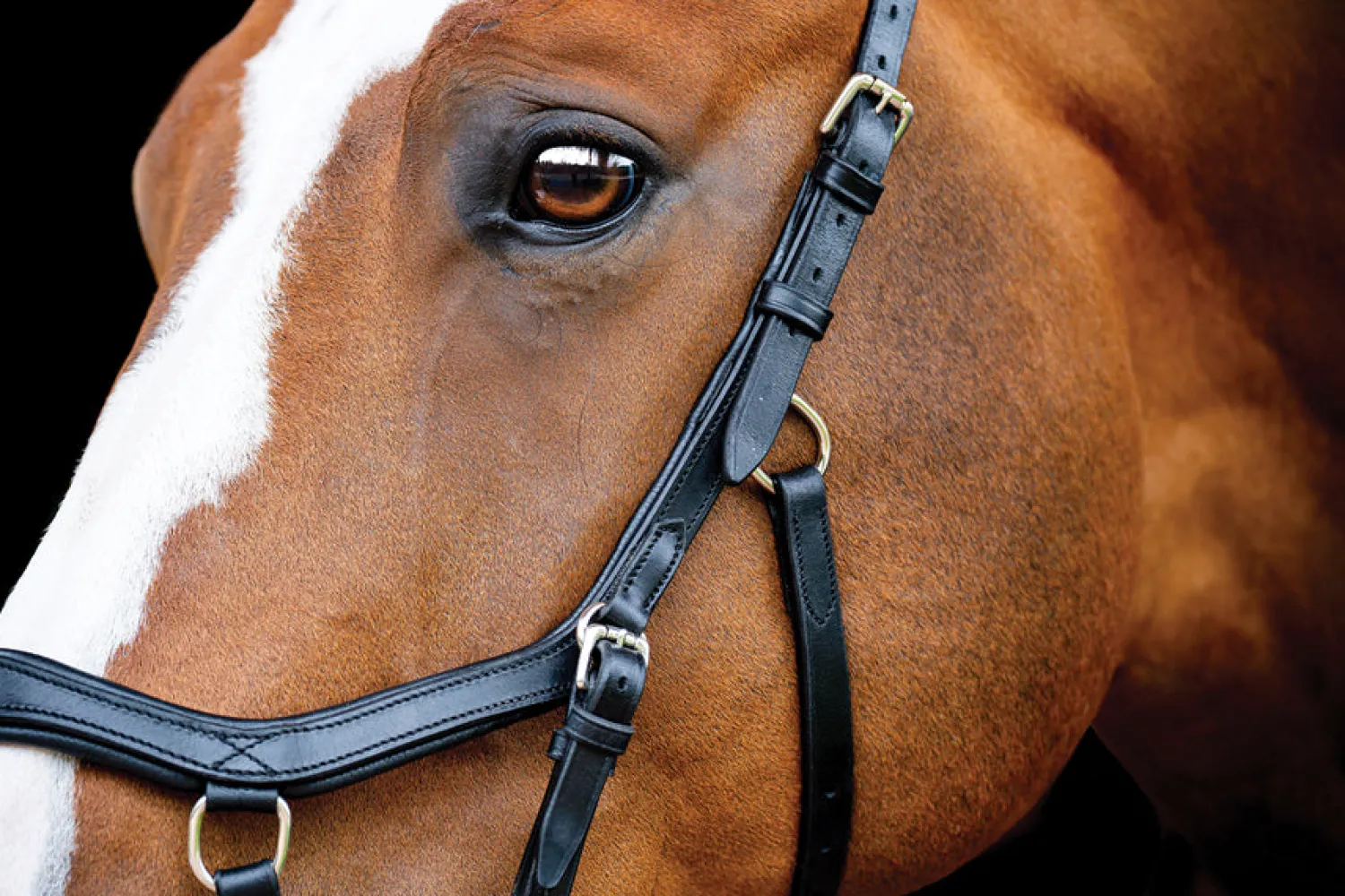 HORSEWARE ® Ireland Micklem2 Competition Bridle with Reins Outlet