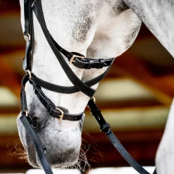 HORSEWARE ® Ireland Micklem2 Multibridle USA with Reins Best