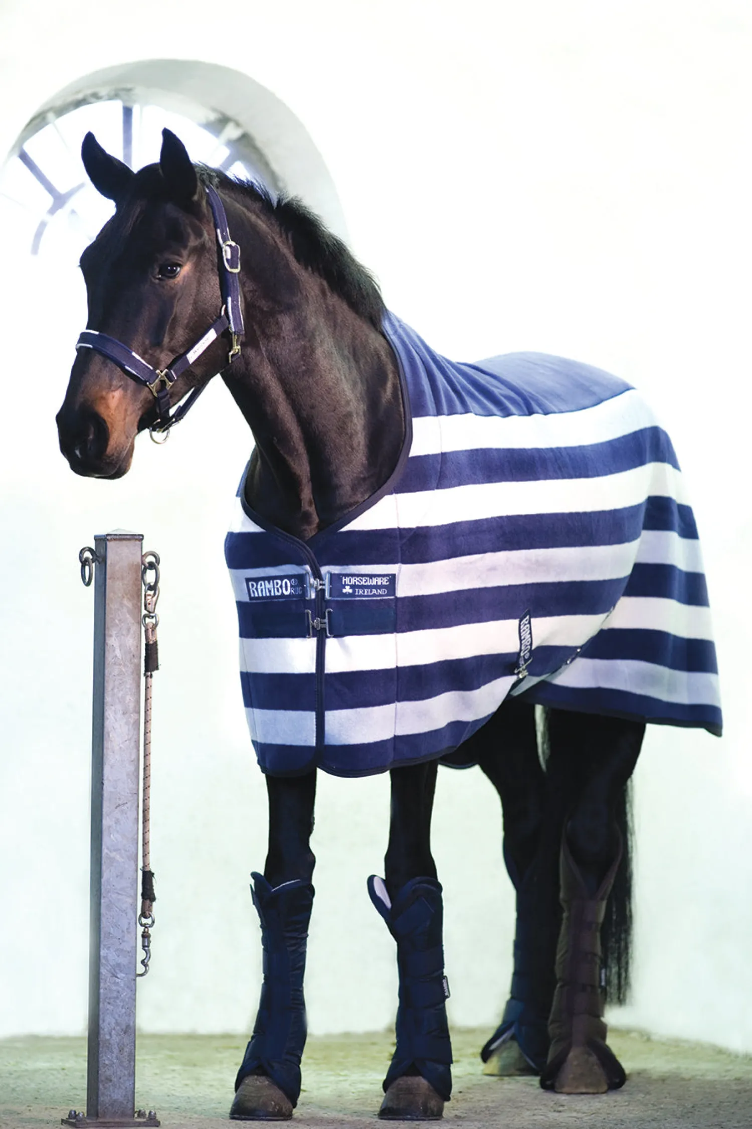 HORSEWARE ® Ireland Rambo® Deluxe Fleece