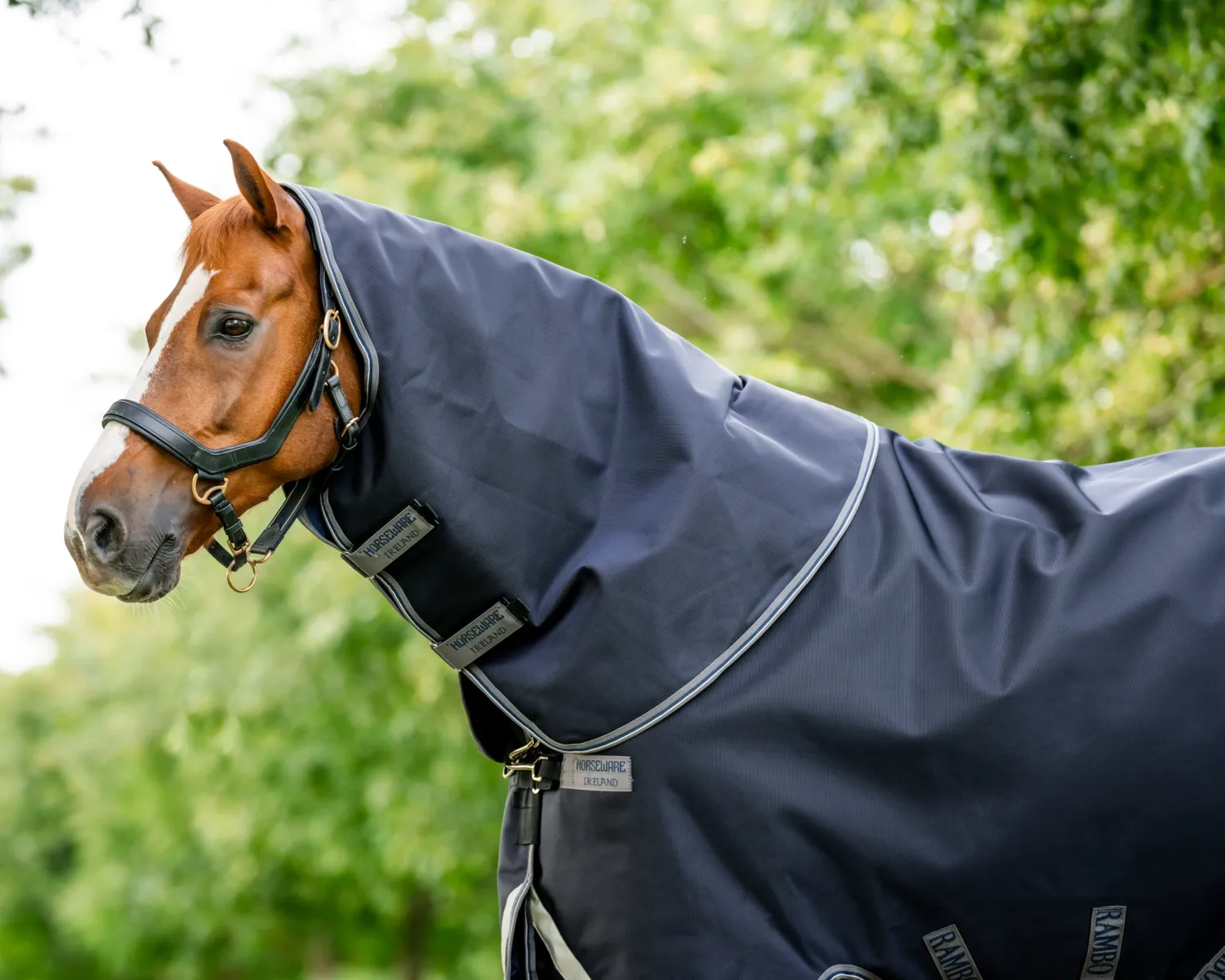 HORSEWARE ® Ireland Rambo® 1680D Vari-Layer Plus Medium Turnout–250G