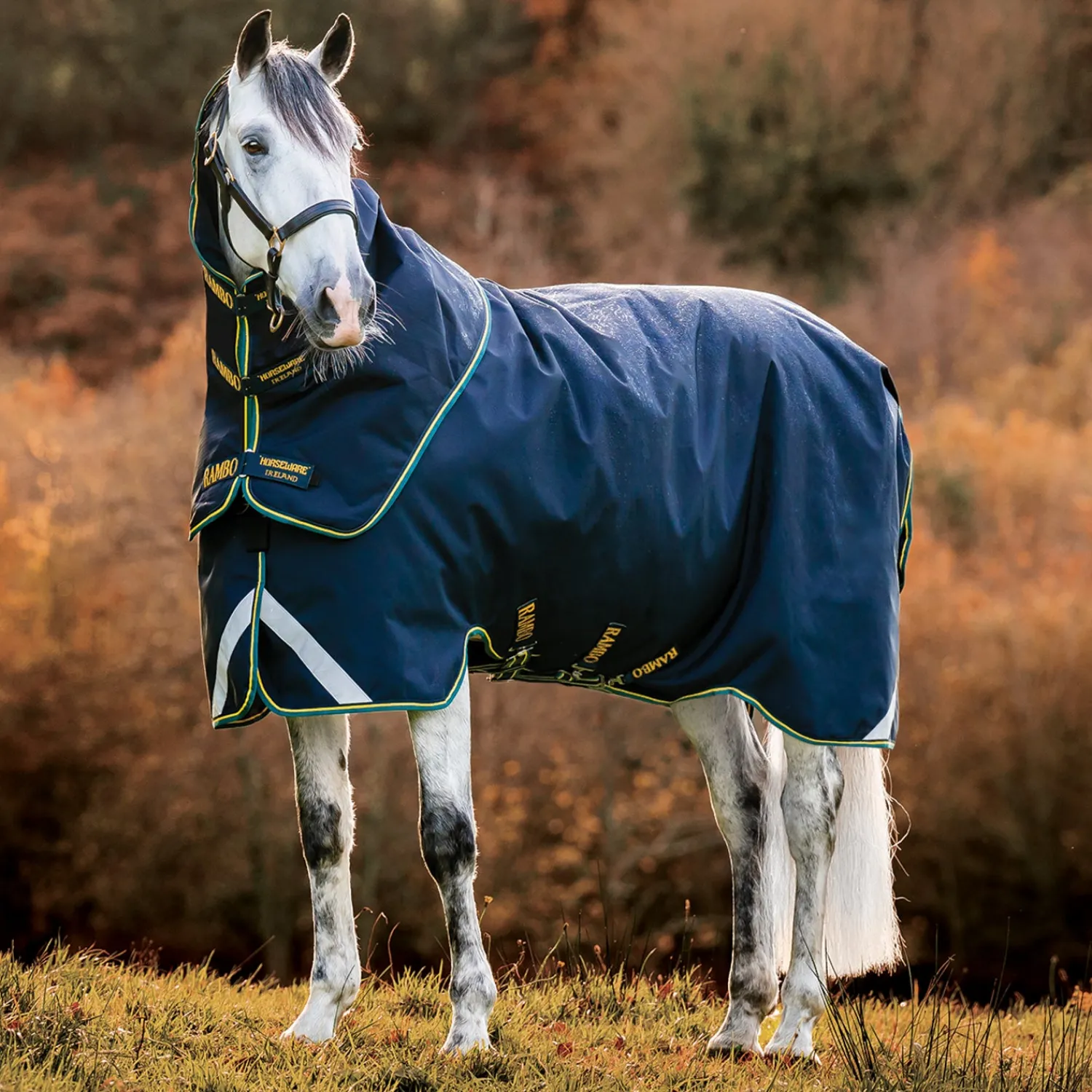 HORSEWARE ® Ireland Rambo® Duo Force 2.0 Turnout Blanket Navy/Teal Discount