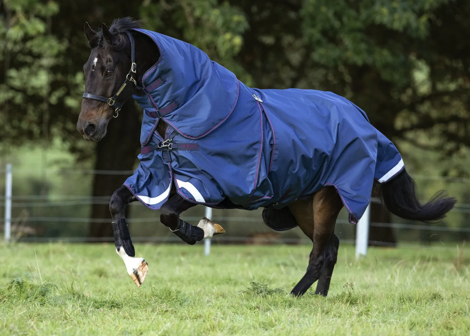 HORSEWARE ® Ireland Rambo® Optimo Turnout Blanket Hot