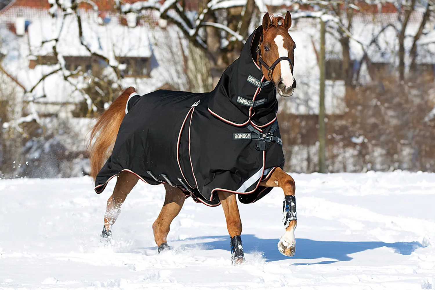 HORSEWARE ® Ireland Rambo® Optimo Turnout Blanket Hot