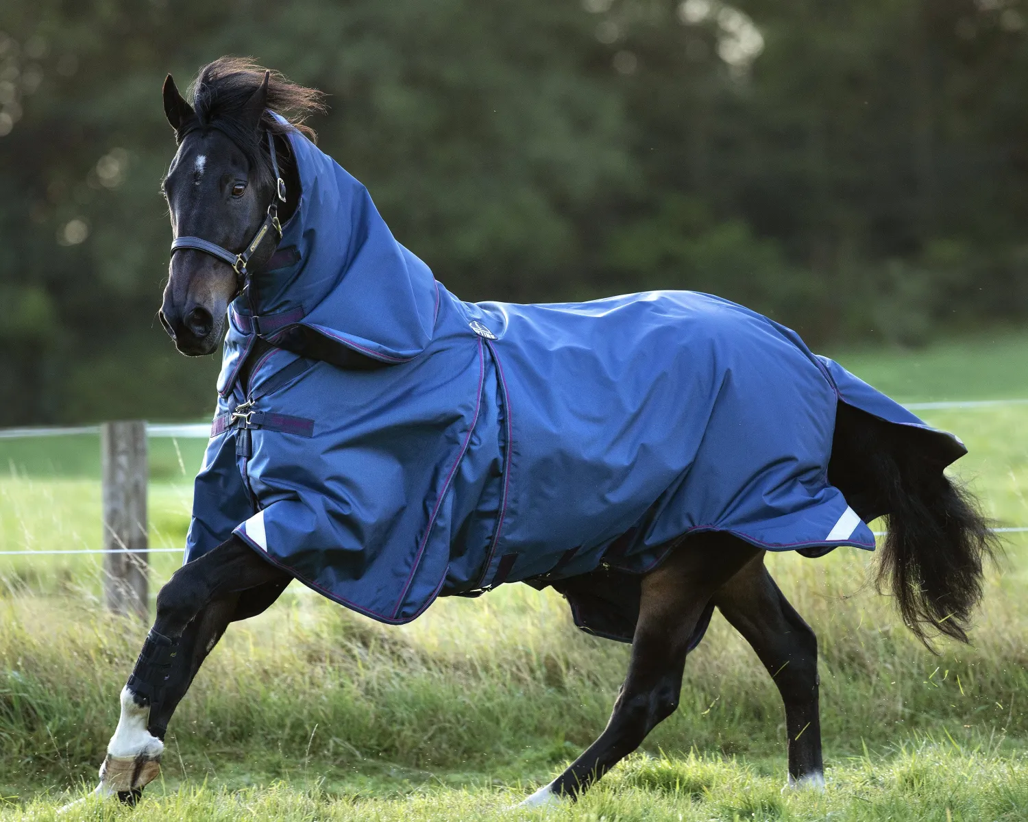 HORSEWARE ® Ireland Rambo® Optimo Turnout Blanket Hot