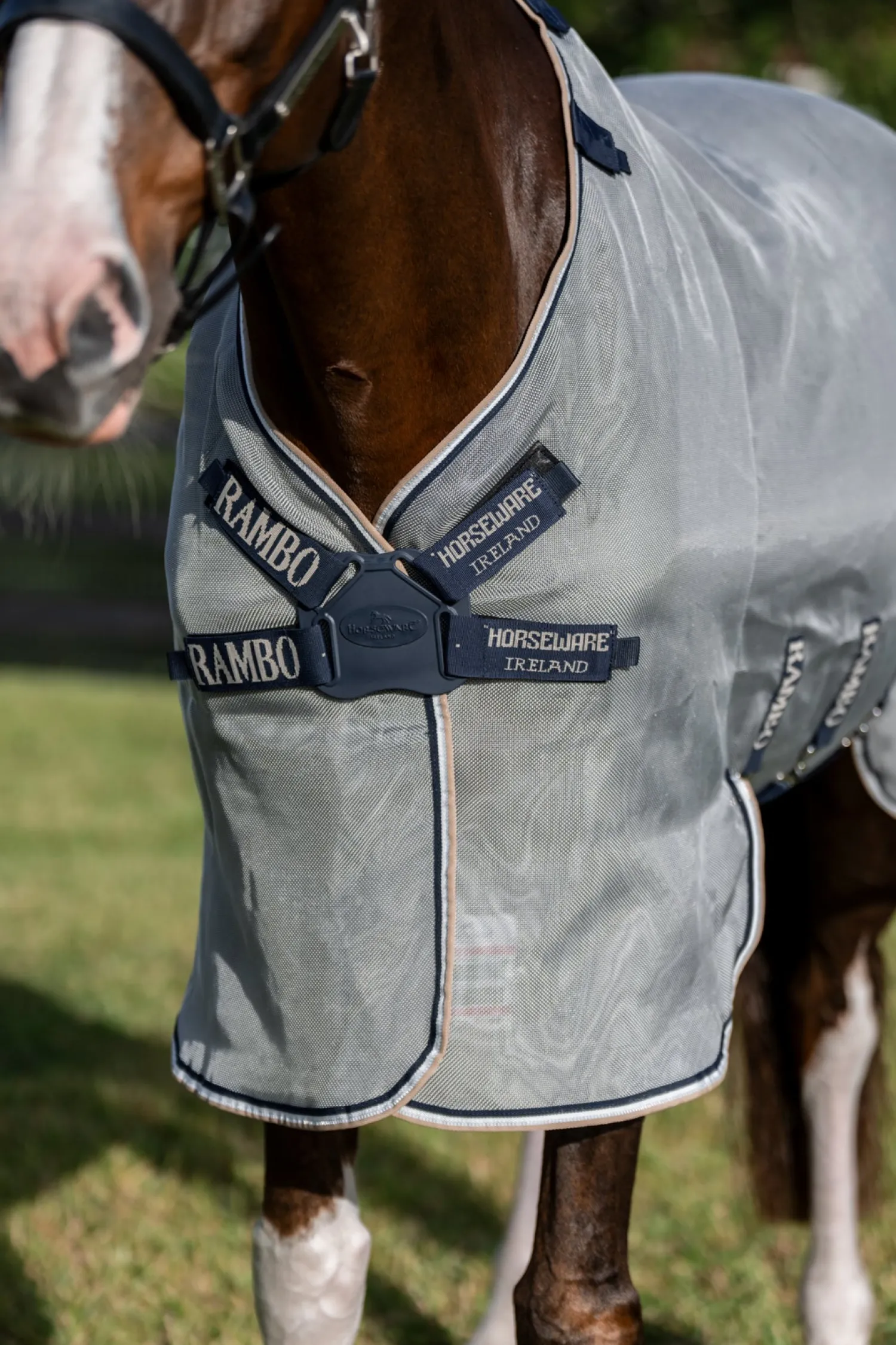 HORSEWARE ® Ireland Rambo® Protector Fieldsafe Plus Silver/Navy/White/Beige Discount