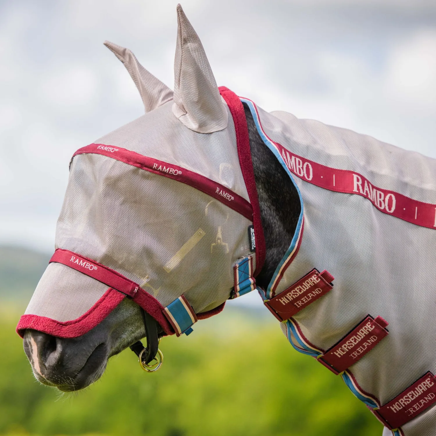 HORSEWARE ® Ireland Rambo® Plus Fly Mask Clearance