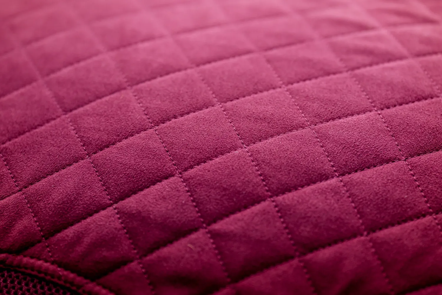 HORSEWARE ® Ireland Rambo® Travel Series Sheet Online