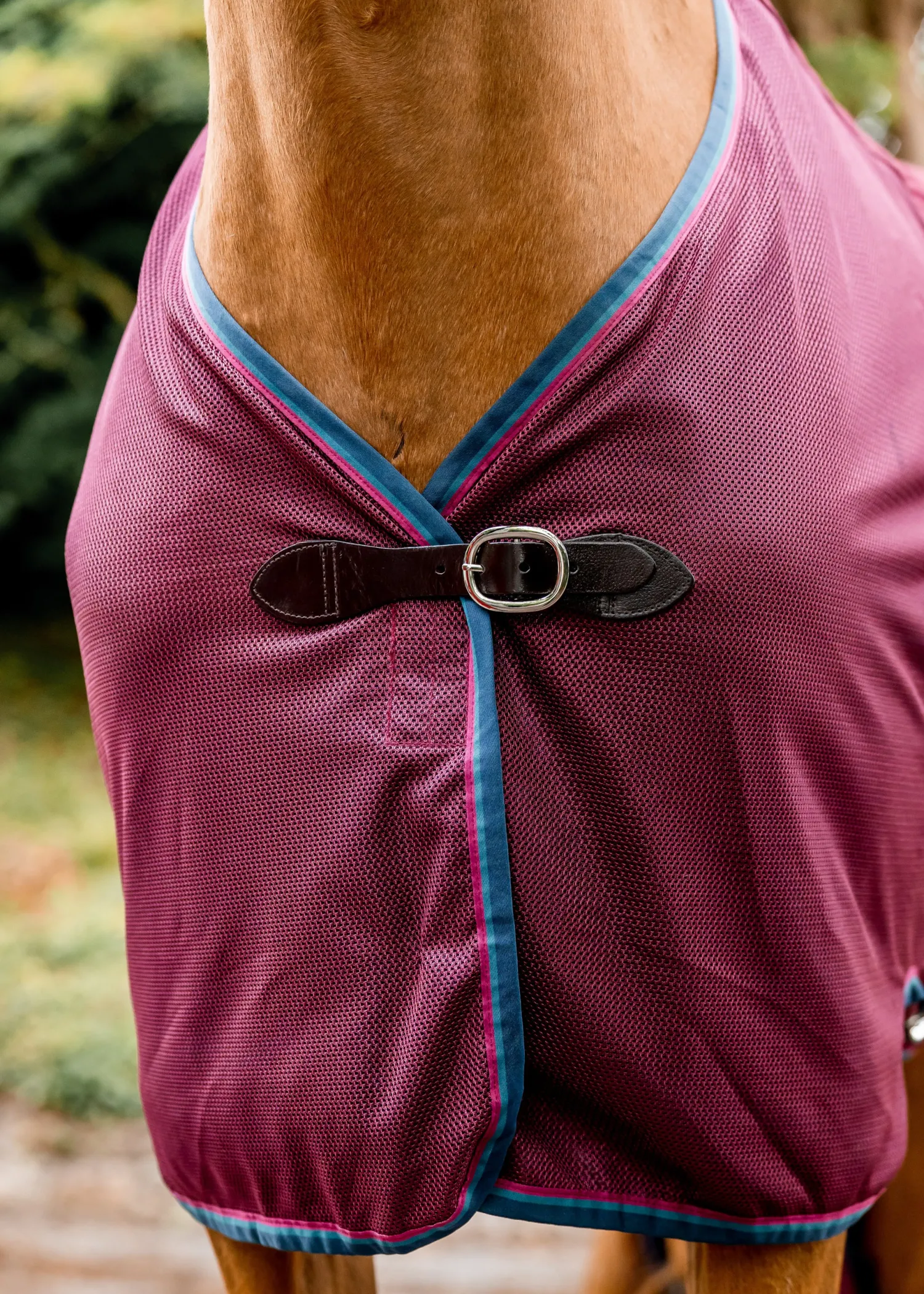 HORSEWARE ® Ireland Rambo® Travel Series Sheet Online