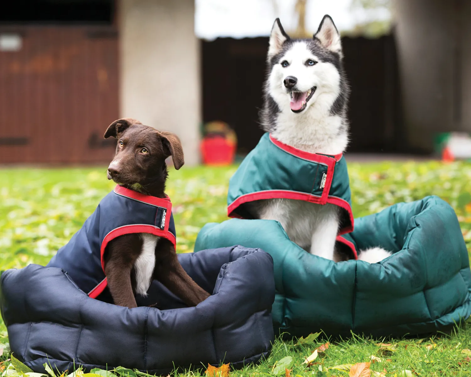 HORSEWARE ® Ireland Rambo® Waterproof Dog Blanket Clearance