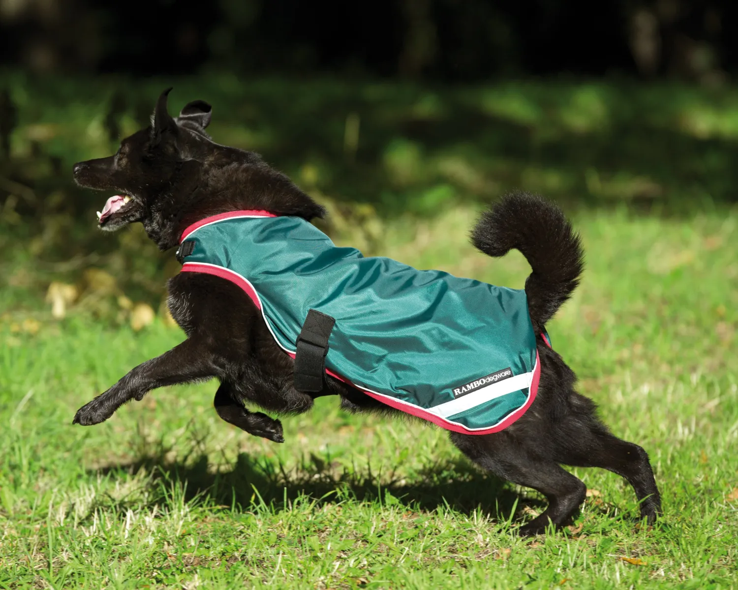 HORSEWARE ® Ireland Rambo® Waterproof Dog Blanket Clearance