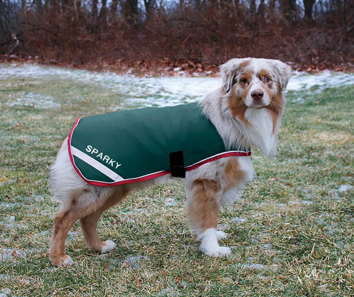 HORSEWARE ® Ireland Rambo® Waterproof Dog Blanket Clearance