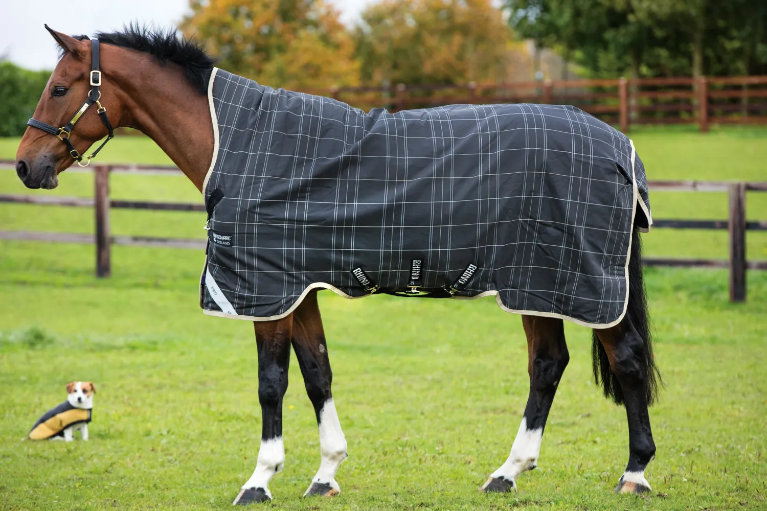 HORSEWARE ® Ireland Rhino® Medium-Weight Wug with Vari-Layer® Clearance