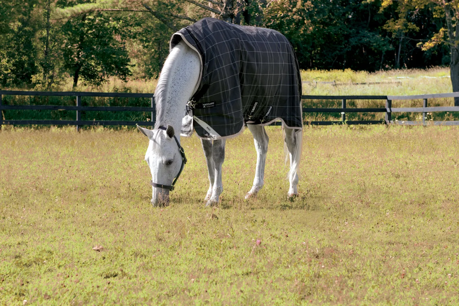 HORSEWARE ® Ireland Rhino® Medium-Weight Wug with Vari-Layer® Clearance