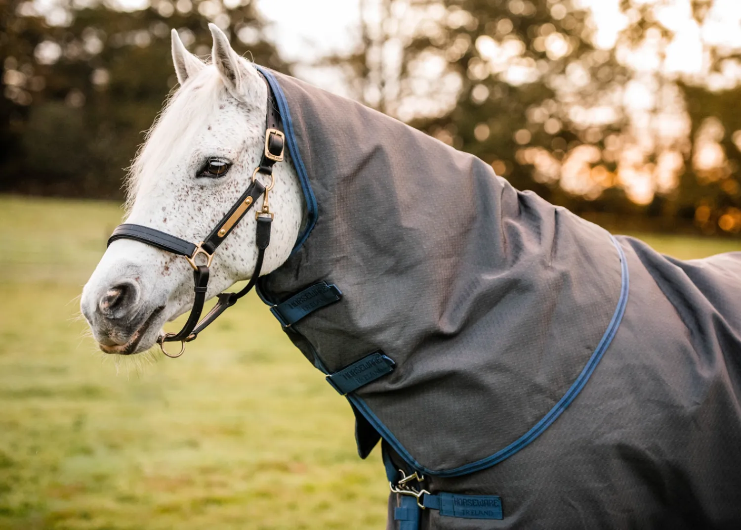 HORSEWARE ® Ireland Rhino® Plus HexStop Vari-Layer® 250 Gram Medium-Weight Turnout Blanket Grey/Indigo/Navy Outlet