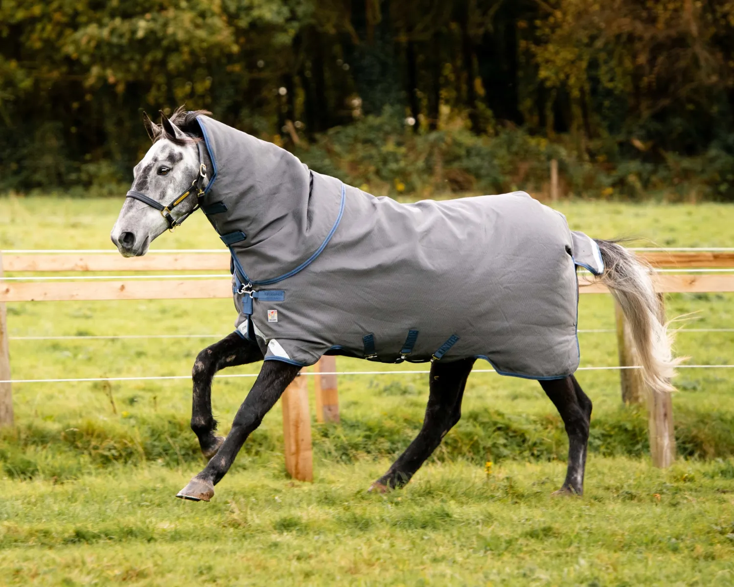 HORSEWARE ® Ireland Rhino® Plus HexStop Vari-Layer® 250 Gram Medium-Weight Turnout Blanket Grey/Indigo/Navy Outlet