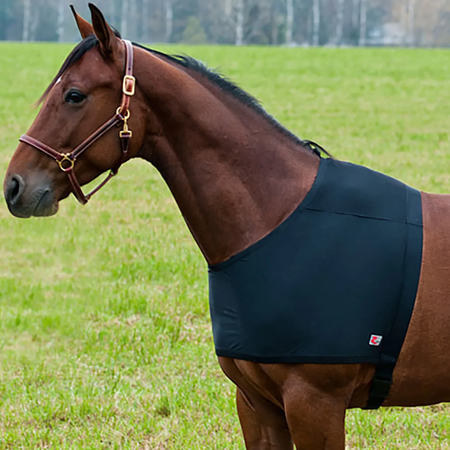 EQUINAVIA Horze Comforce Blanket Shoulder Guard Black Online