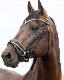 EQUINAVIA Horze Grayson Snaffle Bridle