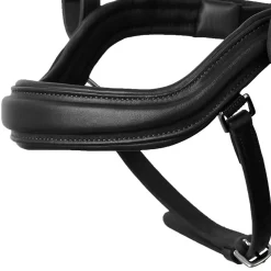 EQUINAVIA Horze Highbury Anatomical Crystal Dressage Bridle New