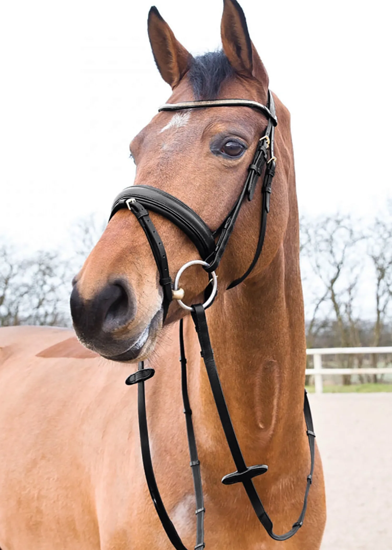 EQUINAVIA Horze Lester Snaffle Bridle New
