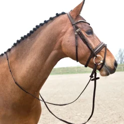 EQUINAVIA Horze Lester Snaffle Bridle New