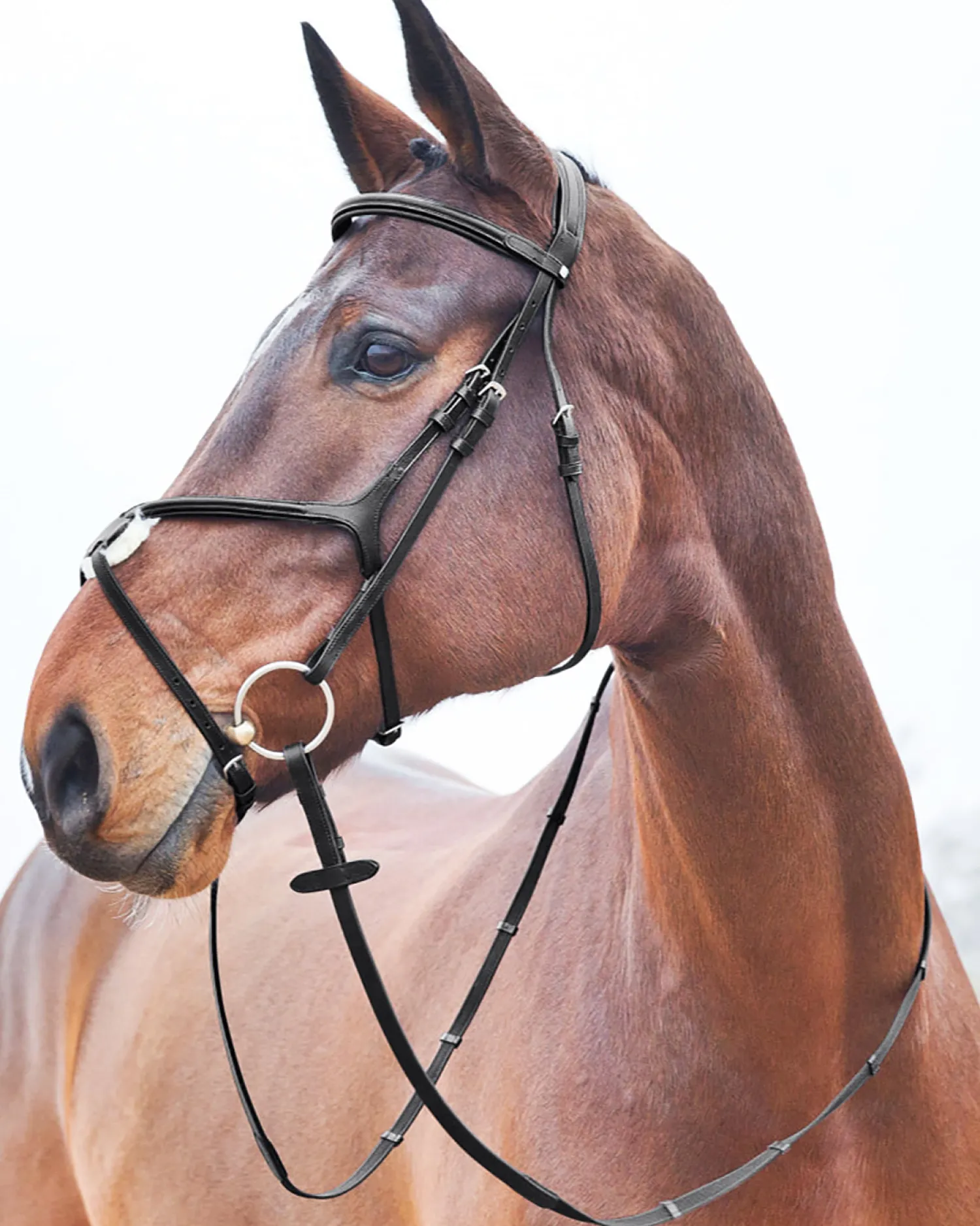 EQUINAVIA Horze Prescott Figure-8 Bridle
