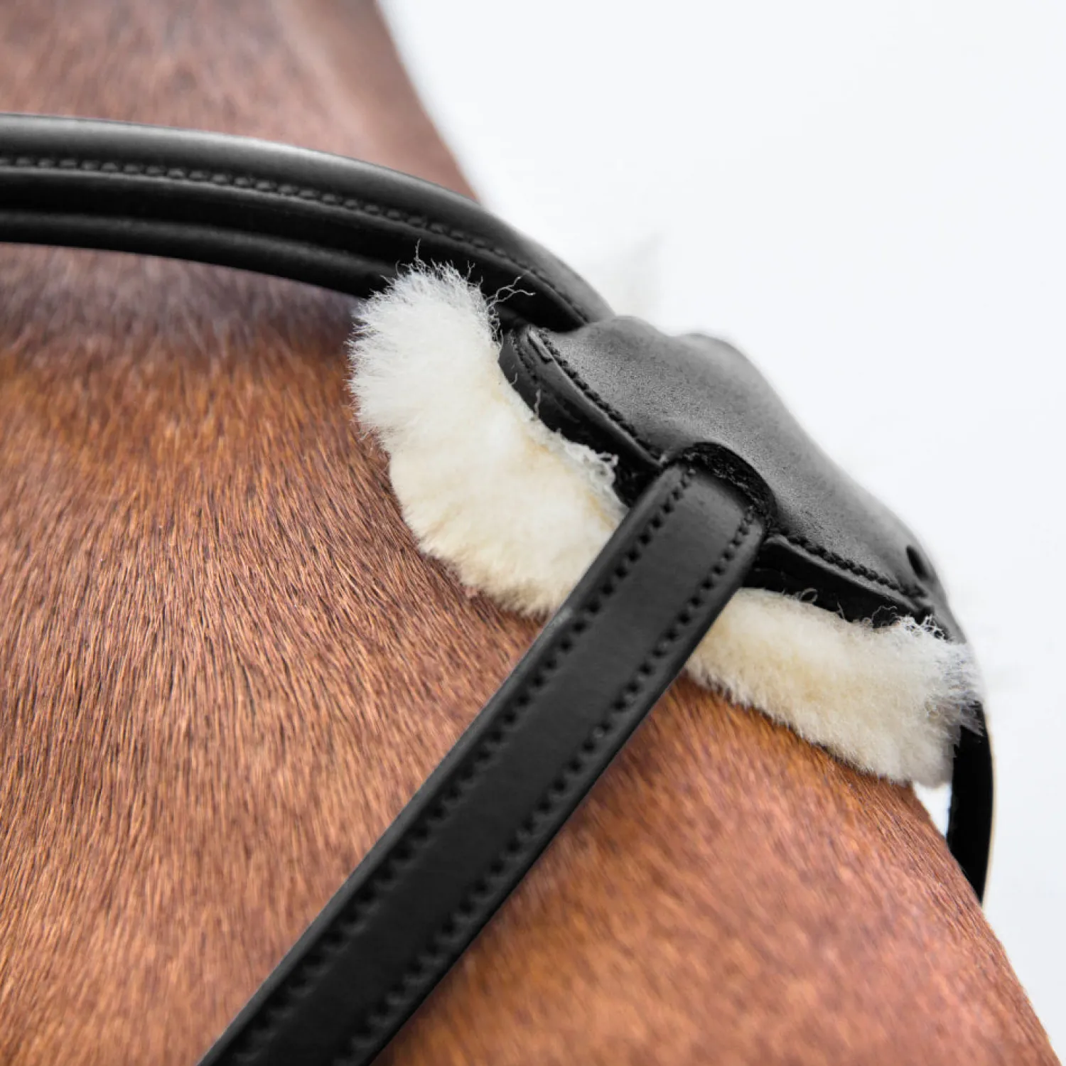 EQUINAVIA Horze Prescott Figure-8 Bridle