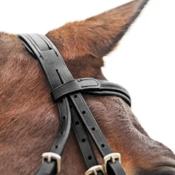 EQUINAVIA Horze Prescott Figure-8 Bridle