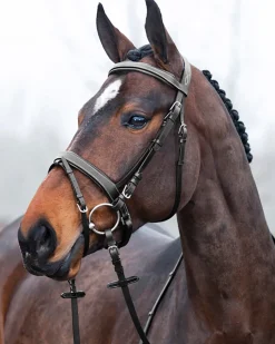 EQUINAVIA Horze Venice Snaffle Bridle Sale