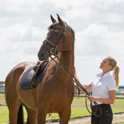 EQUINAVIA Horze Venice Snaffle Bridle Sale