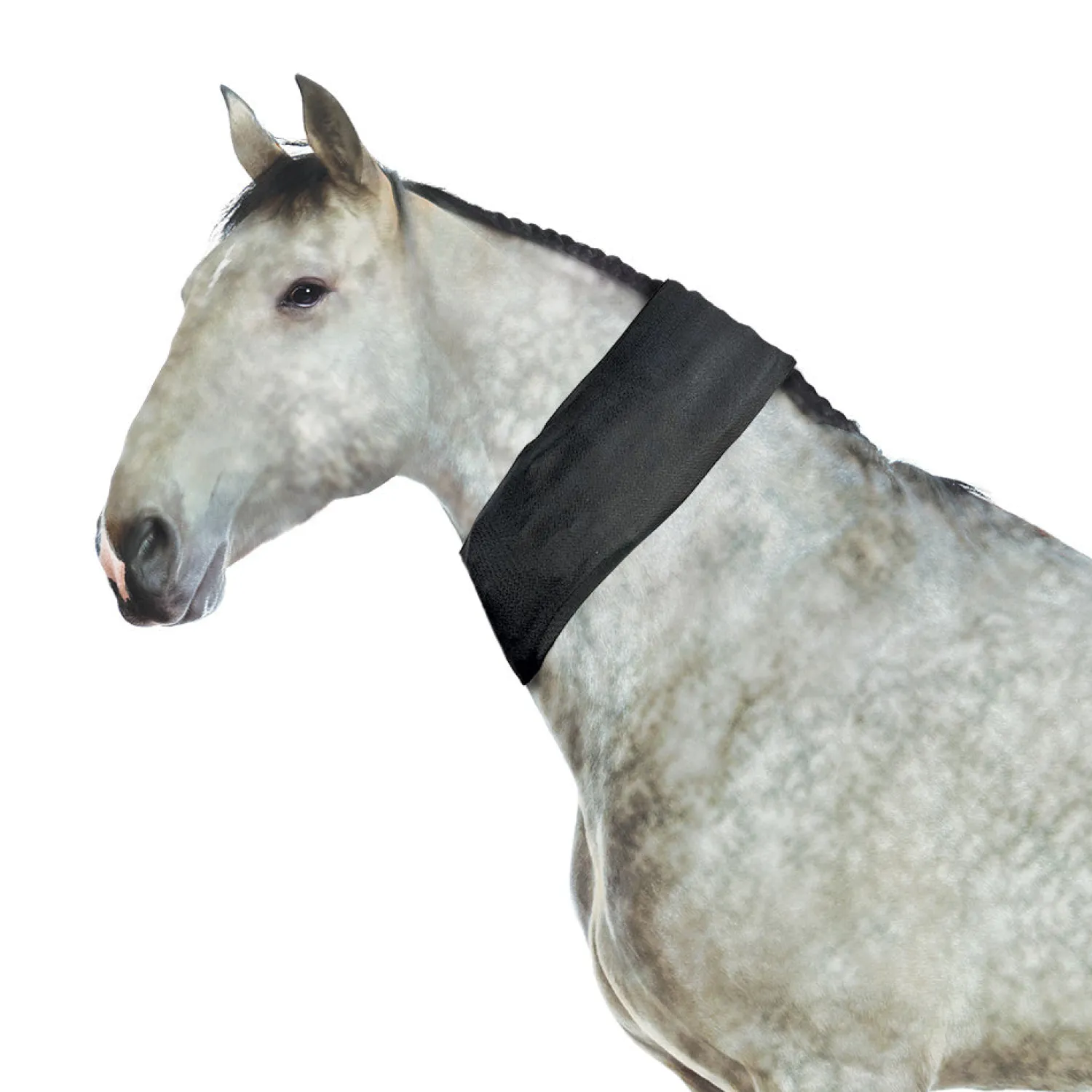 MACKINNON Ice Horse® All-Purpose Wrap Hot