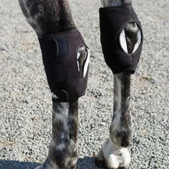 MACKINNON Ice Horse® Hock Wrap Online