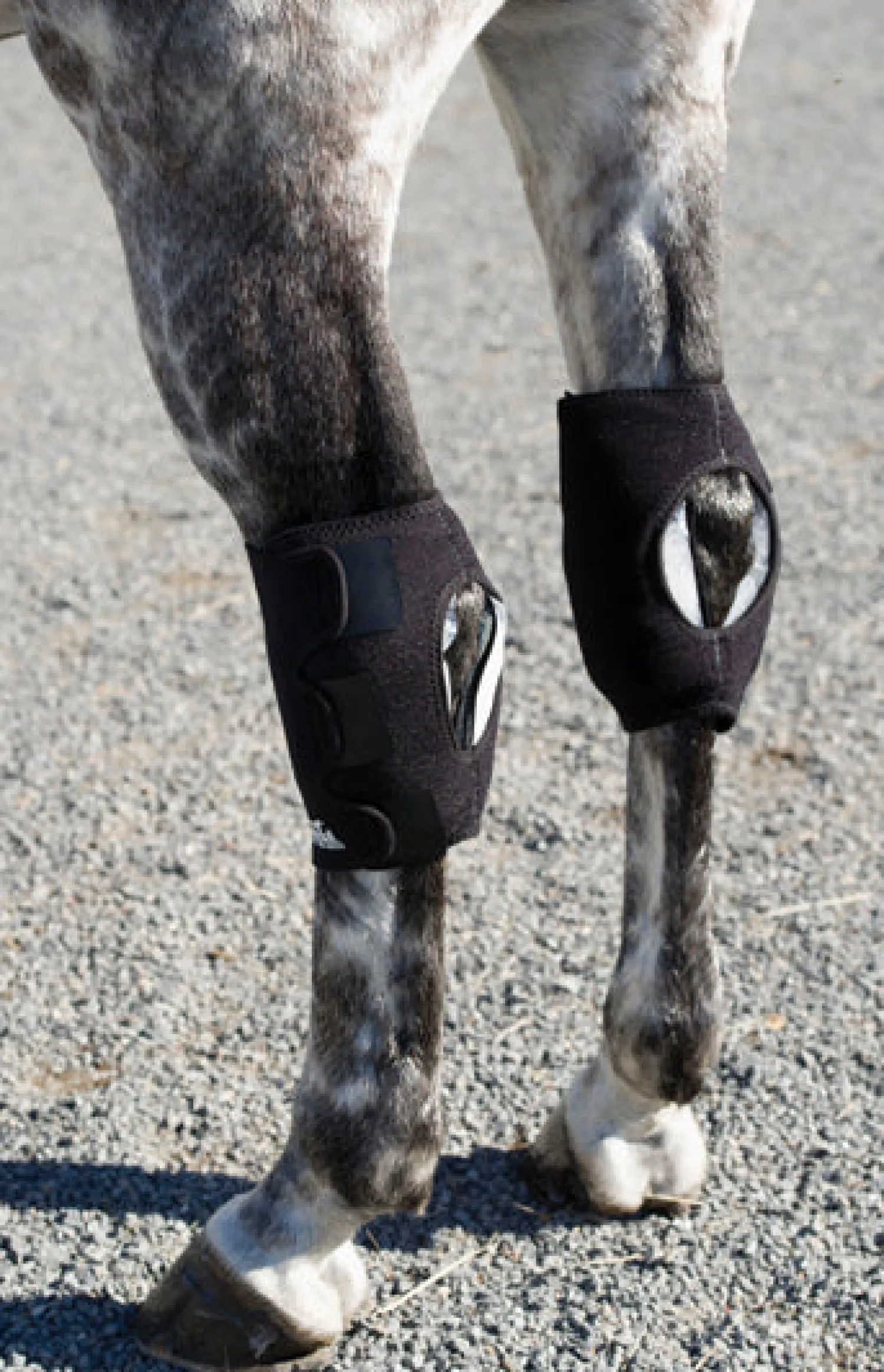 MACKINNON Ice Horse® Hock Wraps - Pair Hot