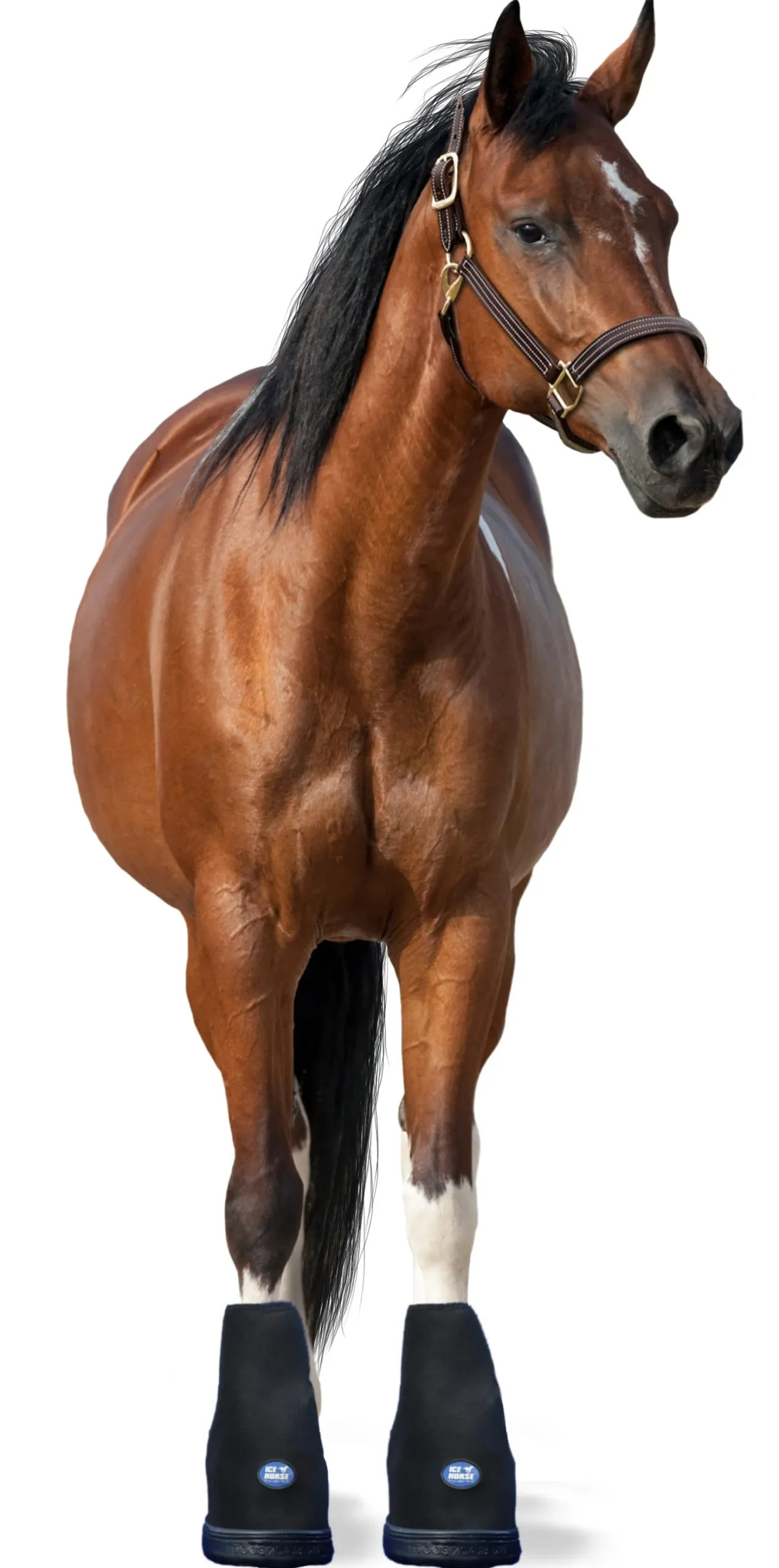 MACKINNON Ice Horse® Hoof Boot - Pair Online