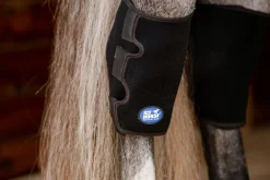 MACKINNON Ice Horse® Pony Hock Wrap Black Hot