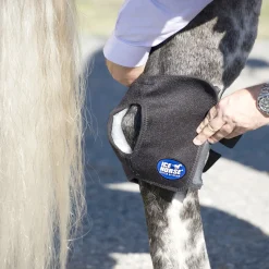 MACKINNON Ice Horse® Pony Hock Wrap Black Hot