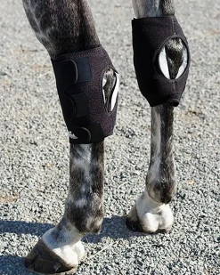 MACKINNON Ice Horse® Pony Hock Wrap – Pair Sale
